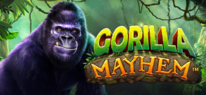 gorilla